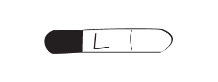 filbert-brush