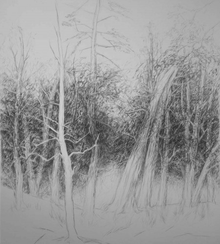 Drawing Studio, Pastel on Paper