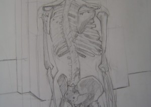Skeleton - Pencil on Paper