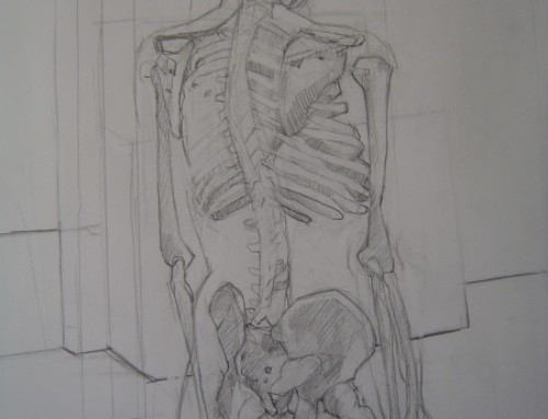 Skeleton – Pencil on Paper