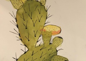 Juniors Cactus Ink Drawing