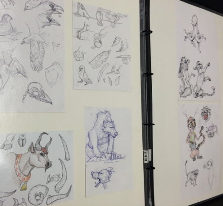 VCASS Folio