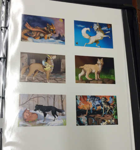 VCASS Folio