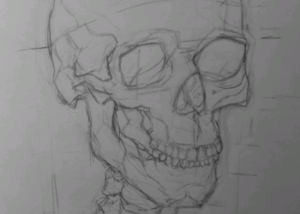 Skull from life, pencil on paper, yr 10