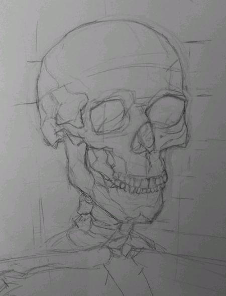 Skull from life, pencil on paper, yr 10